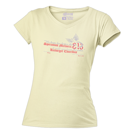 Ladies "D-313 Motto" V-Necks